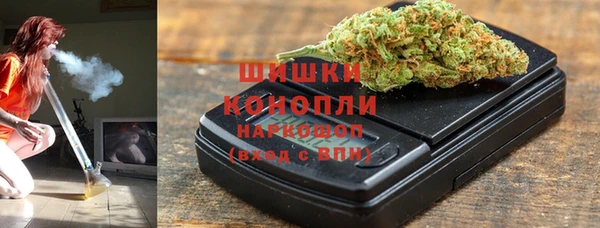 сатива Пересвет