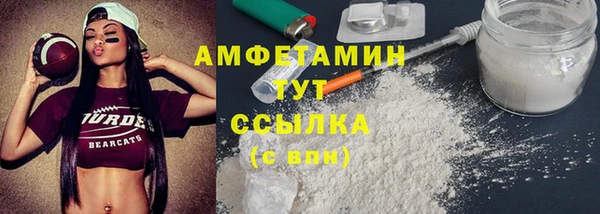 сатива Пересвет