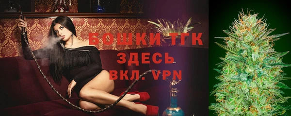 сатива Пересвет